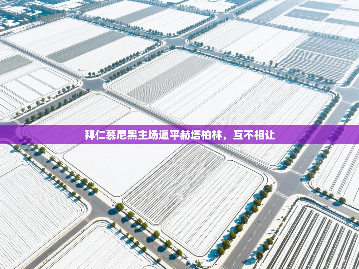 拜仁慕尼黑主场逼平赫塔柏林，互不相让